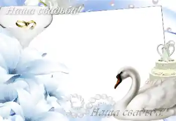 Фотоефект од категоријата Свадбени рамки № 166419. Натпис на рамката: Нашата свадба Фотоефект од категоријата Свадбени рамки № 166419. Натпис на рамката: Нашата свадба